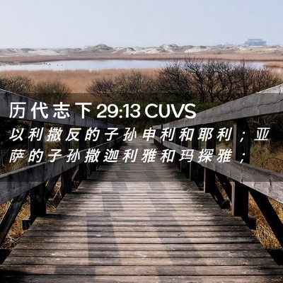 Picture 02 - 历 代 志 下 29:13 CUVS - 以 利 撒 反 的 子 孙 申 利 和 耶 利 - Bible Verse Picture
