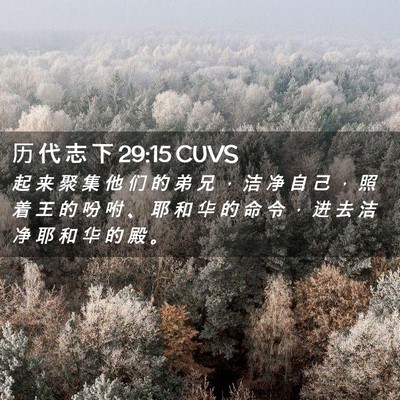 Picture 02 - 历 代 志 下 29:15 CUVS - 起 来 聚 集 他 们 的 弟 兄 ， 洁 净 - Bible Verse Picture