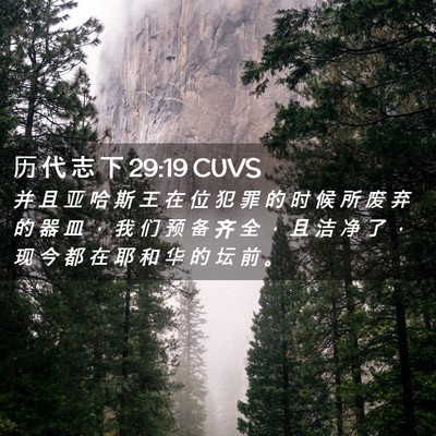 Picture 02 - 历 代 志 下 29:19 CUVS - 并 且 亚 哈 斯 王 在 位 犯 罪 的 时 - Bible Verse Picture