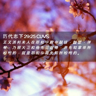 Picture 02 - 历 代 志 下 29:25 CUVS - 王 又 派 利 未 人 在 耶 和 华 殿 中 - Bible Verse Picture
