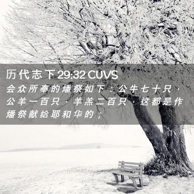 Picture 02 - 历 代 志 下 29:32 CUVS - 会 众 所 奉 的 燔 祭 如 下 ： 公 牛 - Bible Verse Picture