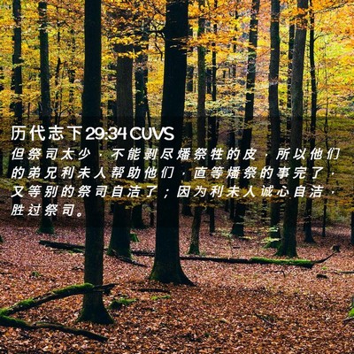 Picture 02 - 历 代 志 下 29:34 CUVS - 但 祭 司 太 少 ， 不 能 剥 尽 燔 祭 - Bible Verse Picture