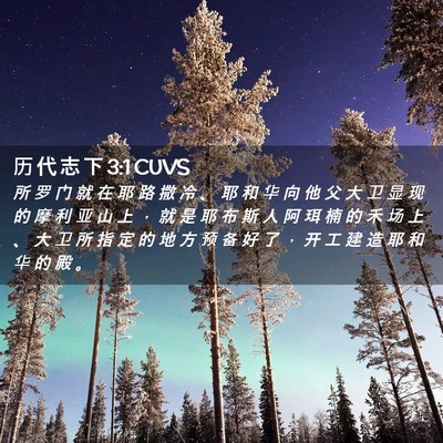 Picture 02 - 历 代 志 下 3:1 CUVS - 所 罗 门 就 在 耶 路 撒 冷 、 耶 和 - Bible Verse Picture