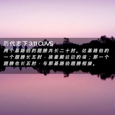 Picture 02 - 历 代 志 下 3:11 CUVS - 两 个 基 路 伯 的 翅 膀 共 长 二 十 - Bible Verse Picture