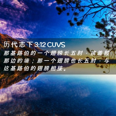 Picture 02 - 历 代 志 下 3:12 CUVS - 那 基 路 伯 的 一 个 翅 膀 长 五 肘 - Bible Verse Picture
