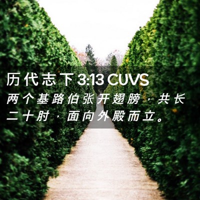 Picture 02 - 历 代 志 下 3:13 CUVS - 两 个 基 路 伯 张 开 翅 膀 ， 共 长 - Bible Verse Picture