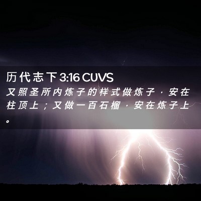 Picture 02 - 历 代 志 下 3:16 CUVS - 又 照 圣 所 内 炼 子 的 样 式 做 炼 - Bible Verse Picture