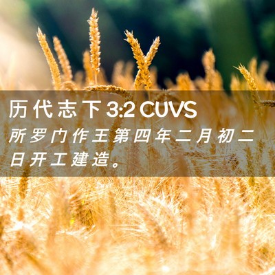 Picture 02 - 历 代 志 下 3:2 CUVS - 所 罗 门 作 王 第 四 年 二 月 初 二 - Bible Verse Picture
