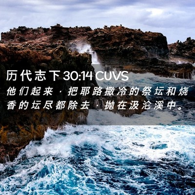 Picture 02 - 历 代 志 下 30:14 CUVS - 他 们 起 来 ， 把 耶 路 撒 冷 的 祭 - Bible Verse Picture