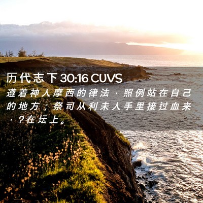 Picture 02 - 历 代 志 下 30:16 CUVS - 遵 着 神 人 摩 西 的 律 法 ， 照 例 - Bible Verse Picture