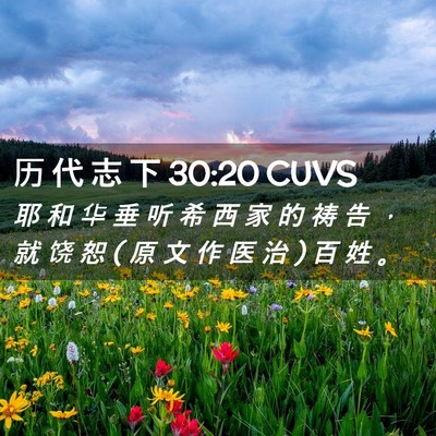 Picture 02 - 历 代 志 下 30:20 CUVS - 耶 和 华 垂 听 希 西 家 的 祷 告 ， - Bible Verse Picture