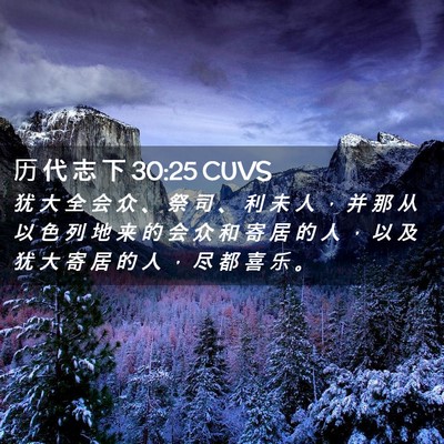 Picture 02 - 历 代 志 下 30:25 CUVS - 犹 大 全 会 众 、 祭 司 、 利 未 人 - Bible Verse Picture