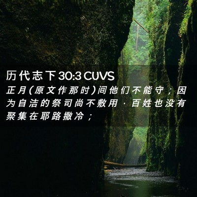 Picture 02 - 历 代 志 下 30:3 CUVS - 正 月 ( 原 文 作 那 时 ) 间 他 们 不 - Bible Verse Picture