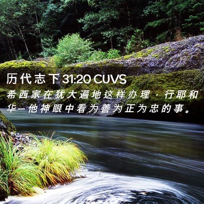 Picture 02 - 历 代 志 下 31:20 CUVS - 希 西 家 在 犹 大 遍 地 这 样 办 理 - Bible Verse Picture