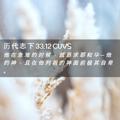 Picture 02 - 历 代 志 下 33:12 CUVS - 他 在 急 难 的 时 候 ， 就 恳 求 耶 - Bible Verse Picture