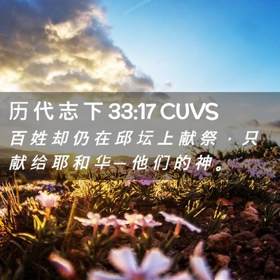 Picture 02 - 历 代 志 下 33:17 CUVS - 百 姓 却 仍 在 邱 坛 上 献 祭 ， 只 - Bible Verse Picture