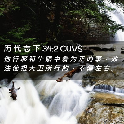 Picture 02 - 历 代 志 下 34:2 CUVS - 他 行 耶 和 华 眼 中 看 为 正 的 事 - Bible Verse Picture