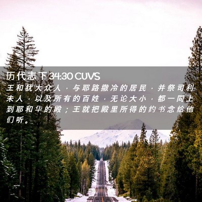 Picture 02 - 历 代 志 下 34:30 CUVS - 王 和 犹 大 众 人 ， 与 耶 路 撒 冷 - Bible Verse Picture