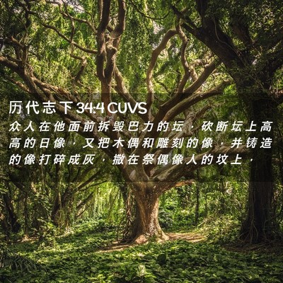 Picture 02 - 历 代 志 下 34:4 CUVS - 众 人 在 他 面 前 拆 毁 巴 力 的 坛 - Bible Verse Picture