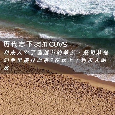 Picture 02 - 历 代 志 下 35:11 CUVS - 利 未 人 宰 了 逾 越 节 的 羊 羔 ， - Bible Verse Picture