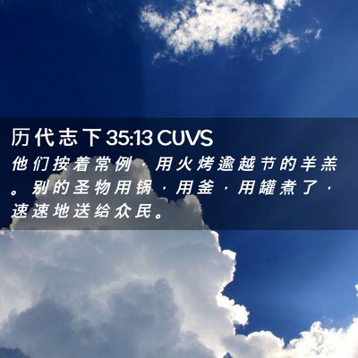 Picture 02 - 历 代 志 下 35:13 CUVS - 他 们 按 着 常 例 ， 用 火 烤 逾 越 - Bible Verse Picture