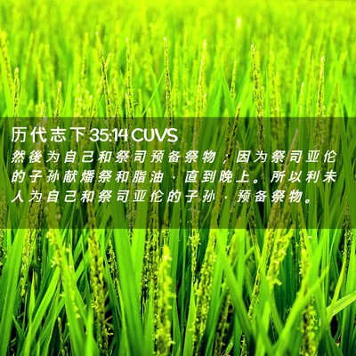 Picture 02 - 历 代 志 下 35:14 CUVS - 然 後 为 自 己 和 祭 司 预 备 祭 物 - Bible Verse Picture
