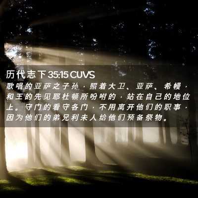 Picture 02 - 历 代 志 下 35:15 CUVS - 歌 唱 的 亚 萨 之 子 孙 ， 照 着 大 - Bible Verse Picture