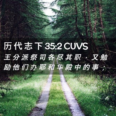 Picture 02 - 历 代 志 下 35:2 CUVS - 王 分 派 祭 司 各 尽 其 职 ， 又 勉 - Bible Verse Picture
