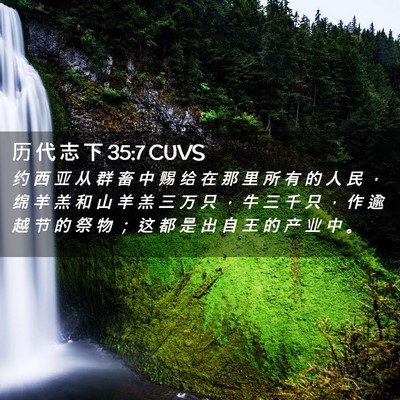 Picture 02 - 历 代 志 下 35:7 CUVS - 约 西 亚 从 群 畜 中 赐 给 在 那 里 - Bible Verse Picture