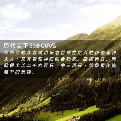 Picture 02 - 历 代 志 下 35:8 CUVS - 约 西 亚 的 众 首 领 也 乐 意 将 牺 - Bible Verse Picture
