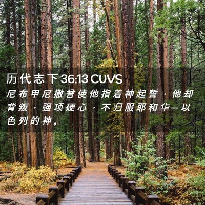 Picture 02 - 历 代 志 下 36:13 CUVS - 尼 布 甲 尼 撒 曾 使 他 指 着 神 起 - Bible Verse Picture