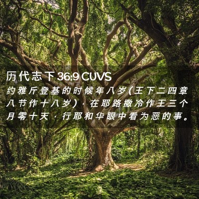 Picture 02 - 历 代 志 下 36:9 CUVS - 约 雅 斤 登 基 的 时 候 年 八 岁 ( 王 - Bible Verse Picture
