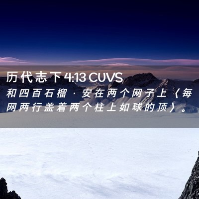 Picture 02 - 历 代 志 下 4:13 CUVS - 和 四 百 石 榴 ， 安 在 两 个 网 子 - Bible Verse Picture