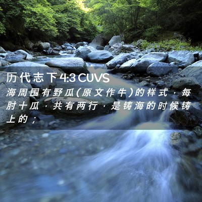 Picture 02 - 历 代 志 下 4:3 CUVS - 海 周 围 有 野 瓜 ( 原 文 作 牛 ) 的 - Bible Verse Picture