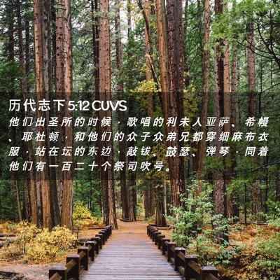Picture 02 - 历 代 志 下 5:12 CUVS - 他 们 出 圣 所 的 时 候 ， 歌 唱 的 - Bible Verse Picture