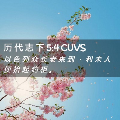 Picture 02 - 历 代 志 下 5:4 CUVS - 以 色 列 众 长 老 来 到 ， 利 未 人 - Bible Verse Picture