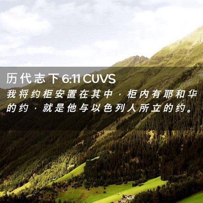 Picture 02 - 历 代 志 下 6:11 CUVS - 我 将 约 柜 安 置 在 其 中 ， 柜 内 - Bible Verse Picture