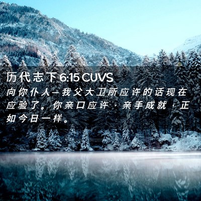 Picture 02 - 历 代 志 下 6:15 CUVS - 向 你 仆 人 ─ 我 父 大 卫 所 应 许 - Bible Verse Picture