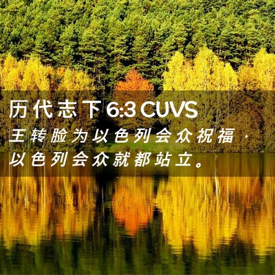 Picture 02 - 历 代 志 下 6:3 CUVS - 王 转 脸 为 以 色 列 会 众 祝 福 ， - Bible Verse Picture