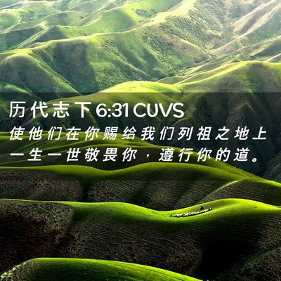 Picture 02 - 历 代 志 下 6:31 CUVS - 使 他 们 在 你 赐 给 我 们 列 祖 之 - Bible Verse Picture