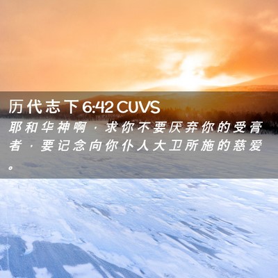 Picture 02 - 历 代 志 下 6:42 CUVS - 耶 和 华 神 啊 ， 求 你 不 要 厌 弃 - Bible Verse Picture