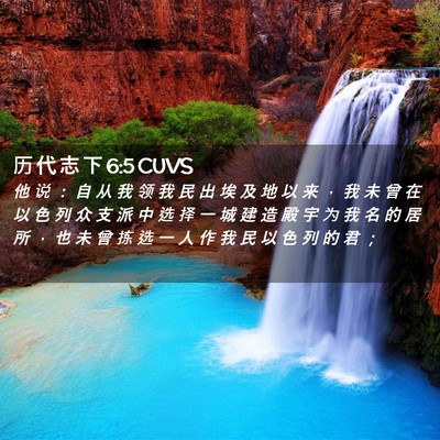 Picture 02 - 历 代 志 下 6:5 CUVS - 他 说 ： 自 从 我 领 我 民 出 埃 及 - Bible Verse Picture