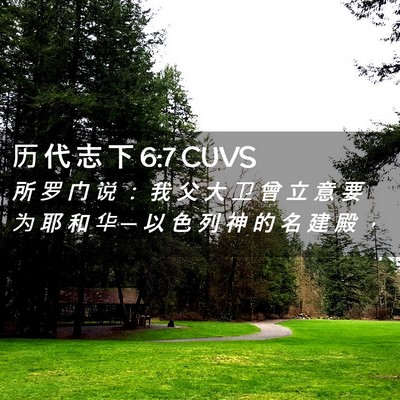 Picture 02 - 历 代 志 下 6:7 CUVS - 所 罗 门 说 ： 我 父 大 卫 曾 立 意 - Bible Verse Picture