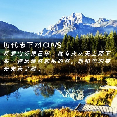Picture 02 - 历 代 志 下 7:1 CUVS - 所 罗 门 祈 祷 已 毕 ， 就 有 火 从 - Bible Verse Picture