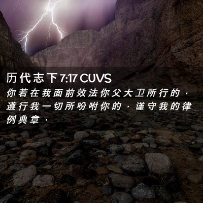 Picture 02 - 历 代 志 下 7:17 CUVS - 你 若 在 我 面 前 效 法 你 父 大 卫 - Bible Verse Picture