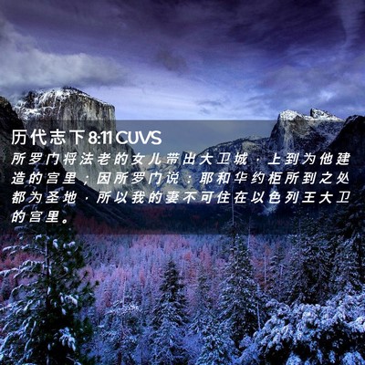 Picture 02 - 历 代 志 下 8:11 CUVS - 所 罗 门 将 法 老 的 女 儿 带 出 大 - Bible Verse Picture