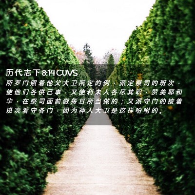 Picture 02 - 历 代 志 下 8:14 CUVS - 所 罗 门 照 着 他 父 大 卫 所 定 的 - Bible Verse Picture