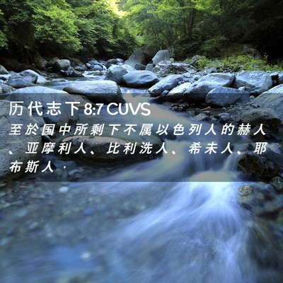 Picture 02 - 历 代 志 下 8:7 CUVS - 至 於 国 中 所 剩 下 不 属 以 色 列 - Bible Verse Picture