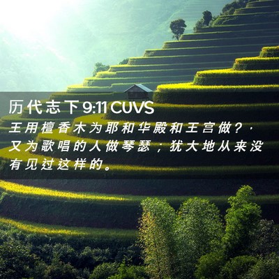 Picture 02 - 历 代 志 下 9:11 CUVS - 王 用 檀 香 木 为 耶 和 华 殿 和 王 - Bible Verse Picture