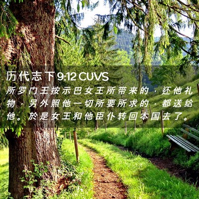 Picture 02 - 历 代 志 下 9:12 CUVS - 所 罗 门 王 按 示 巴 女 王 所 带 来 - Bible Verse Picture